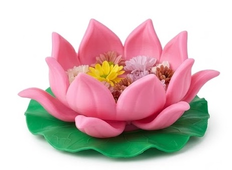 Bộ Đĩa Hoa Sen